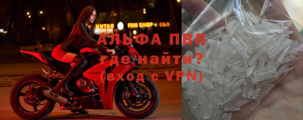 твердый Новозыбков