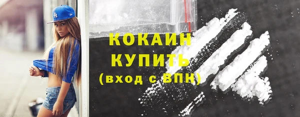 твердый Новозыбков