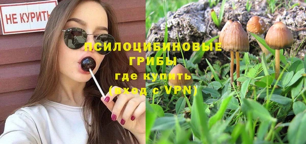 прущие крисы Новокубанск