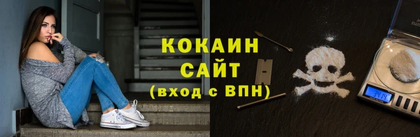 твердый Новозыбков