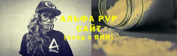 твердый Новозыбков