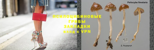 твердый Новозыбков
