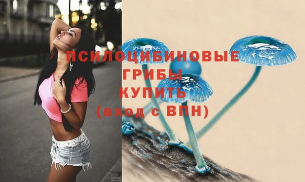 спайс Новодвинск