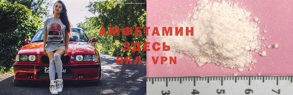 твердый Новозыбков