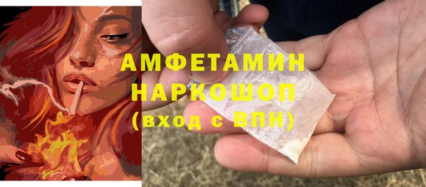 твердый Новозыбков