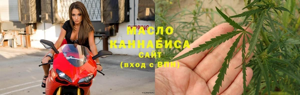 твердый Новозыбков