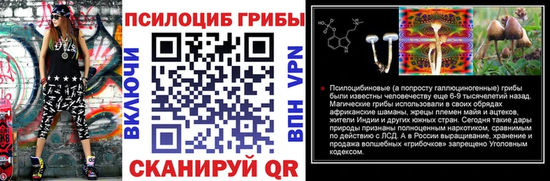 Галлюциногенные грибы мухоморы  где продают   Протвино 